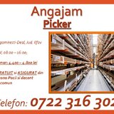 Picker